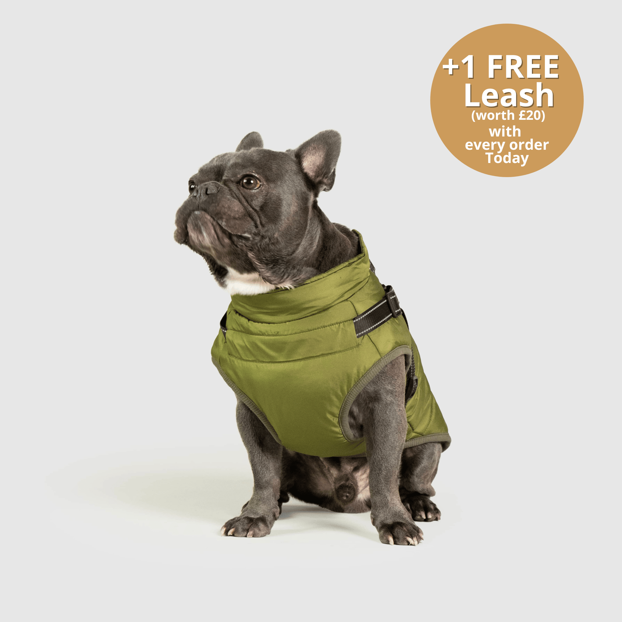 FurryKings™ | 3 in 1 hondenwinterjas