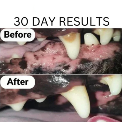Tandenborstel en hondenspeeltje, alles in één!