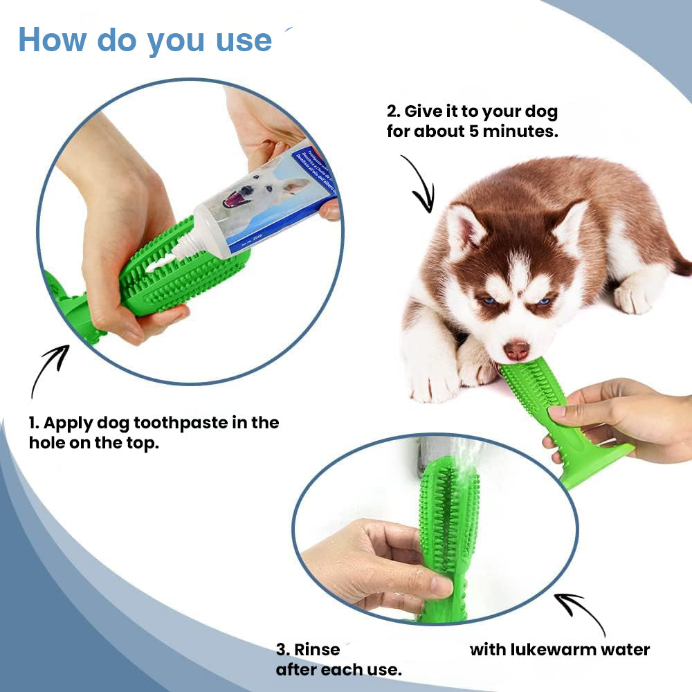 Tandenborstel en hondenspeeltje, alles in één!