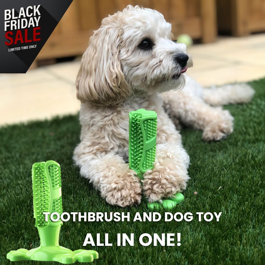 Tandenborstel en hondenspeeltje, alles in één!